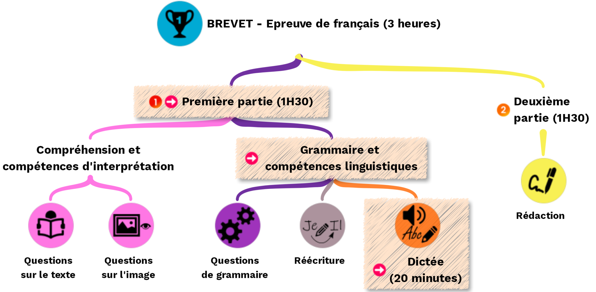 Dictée brevet 2024 Asie Cours2français 🙂