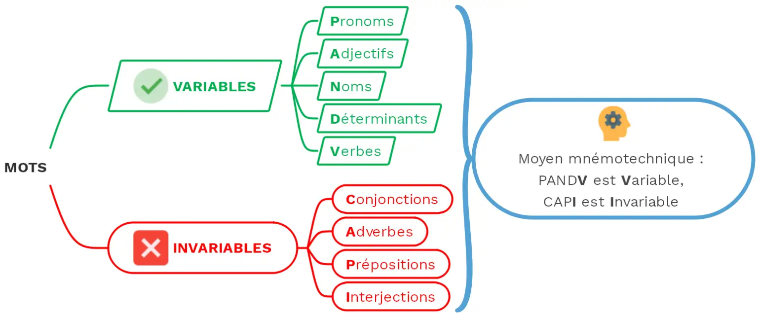 Distinguer Les Classes Grammaticales Natures Variables Invariables