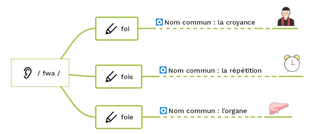 foi, fois ou foie : les homophones - (c) cours2français.net